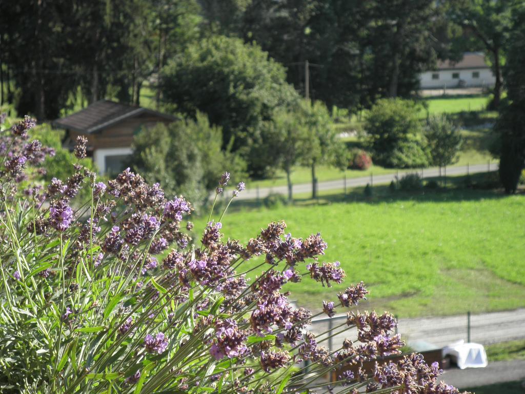 Apartament Haus Sonnblick Wängle Zewnętrze zdjęcie